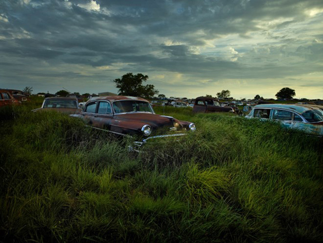 Cỏ mọc đầy, che khuất những xe ô tô cũ trong nghĩa trang ở Pháp.
