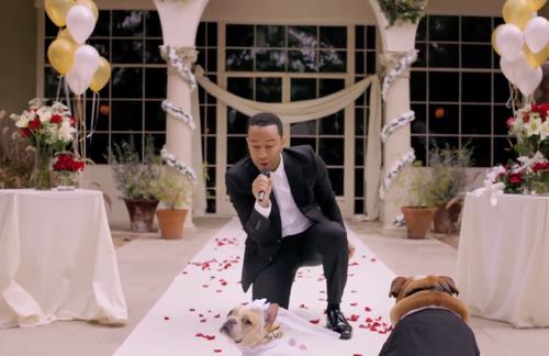 Những siêu sao thế giới từng “hát đám cưới” - 3