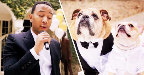 Những siêu sao thế giới từng “hát đám cưới” - 4