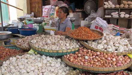 Nông sản Trung Quốc chiếm chợ đầu mối - 1