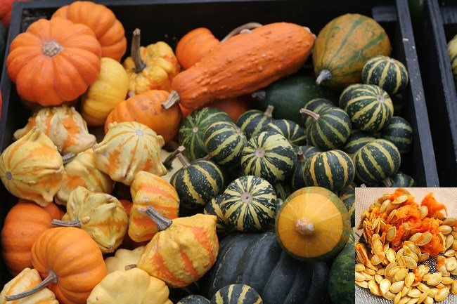 5 loại củ, quả tí hon “làm mưa làm gió” trên thị trường - 10