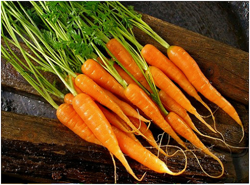 5 loại củ, quả tí hon “làm mưa làm gió” trên thị trường - 12