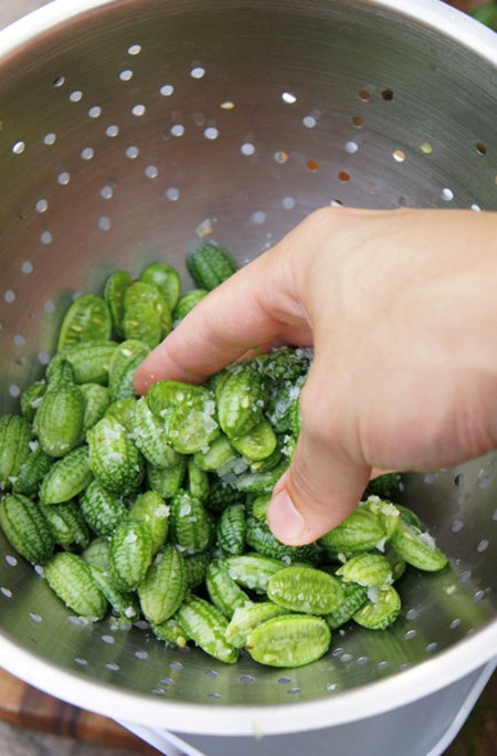 5 loại củ, quả tí hon “làm mưa làm gió” trên thị trường - 15