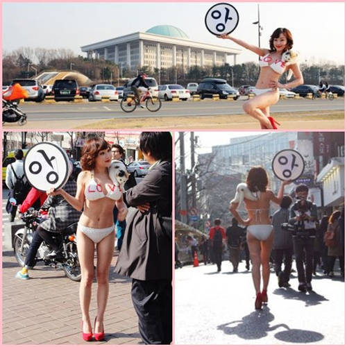 Phong cách gây đau mắt của "Yêu nữ vác mèo" Hàn Quốc - 1