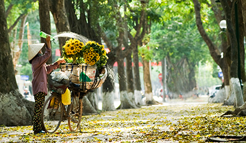 Khổ sở khi đi du lịch ngày lễ - 3