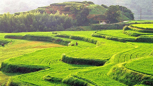 18.&nbsp;Hapcheon Daraknon:&nbsp;Những thửa ruộng bậc thang của Hapcheon ở phía nam tỉnh Gyeongsang tạo ra một khung cảnh tuyệt vời.
