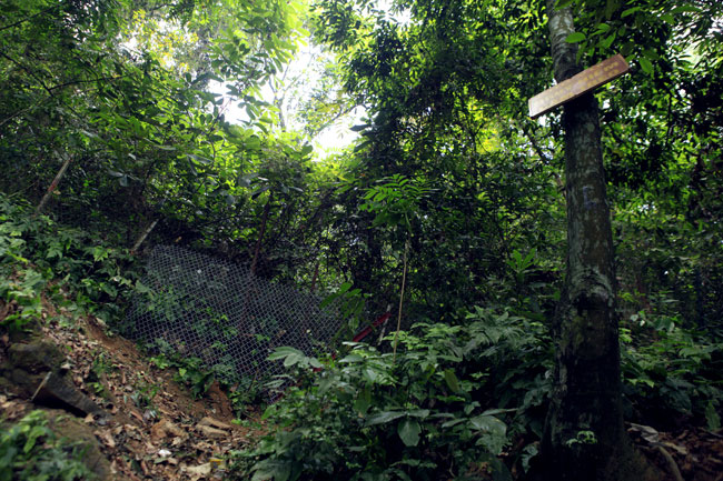 Đã có hơn 4 triệu lượt khách kéo về Lễ Đền Hùng - 2