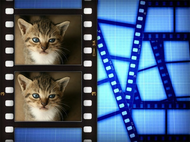 piZap film strip
