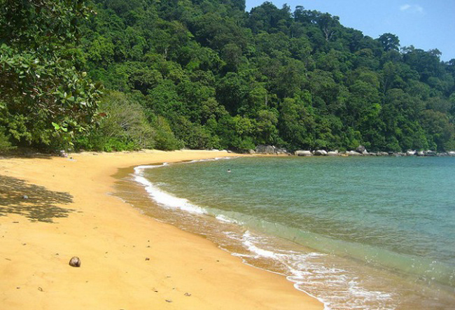 Bãi biển Khỉ, đảo Tioman, Malaysia gây ấn tượng với một màu xanh của thiên nhiên hoang dã, cả hòn đảo được bao bọc phía ngoài là biển, trong đất liền là rừng nhiệt đới dày đặc với các loại chim muông, thú rừng. Trên hòn đảo có một bãi biển tuyệt đẹp được gọi là bãi biển khỉ bởi vì nơi đây chỉ có loài khỉ đuôi dài sinh sống.
