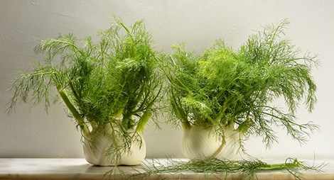 Những thực phẩm đánh bay chứng ợ chua, khó tiêu - 3