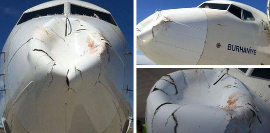 Thổ Nhĩ Kỳ: Máy bay chở khách bị chim tấn công bẹp mũi - 1
