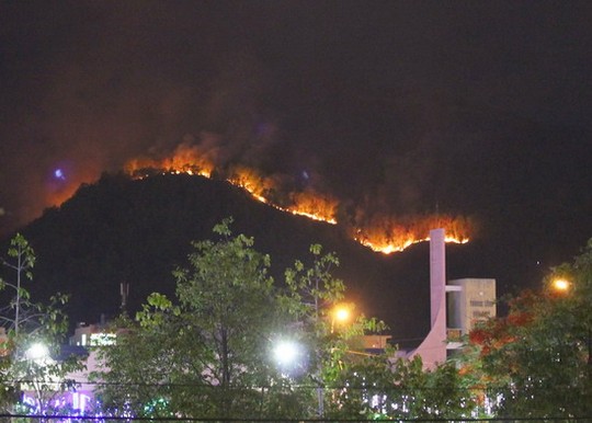 Khởi tố người đốt nhang gây cháy 20 ha rừng núi Bà Hỏa - 1