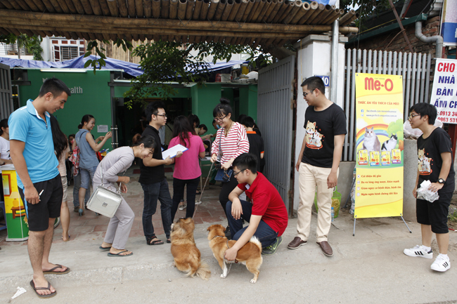 Giới trẻ Hà thành nô nức đem chó, mèo khám miễn phí - 1