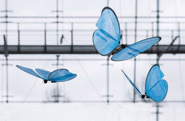 Công ty Robot Festo của Đức đầu năm nay đã bất ngờ cho ra mắt một loại bướm robot xinh đẹp với chuyển động như ngoài đời thật. Loại bướm robot này nặng khoảng 32 gram, sử dụng pin để bay được trong vòng 4 phút. Cá nhà khoa học đã gắn cho chúng những bộ cảm biến thông minh giúp chúng không bị va chạm vào nhau khi bay lượn. Đàn bướm robot được dùng để nghiên cứu khoa học nhằm phát triển các loại robot nhỏ và có trọng lượng nhẹ trong tương lai.