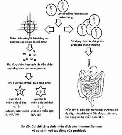 Ngăn ngừa tái phát viêm đường hô hấp cho trẻ không dùng kháng sinh - 2