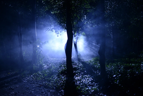 Những chuyện hậu trường ly kỳ của "Ngủ với hồn ma" - 8