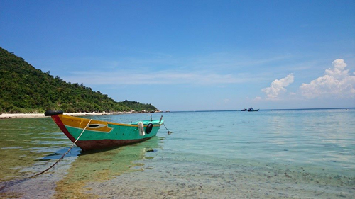 Ngắm san hô và đáy biển kỳ thú ở Cù Lao Chàm - 1