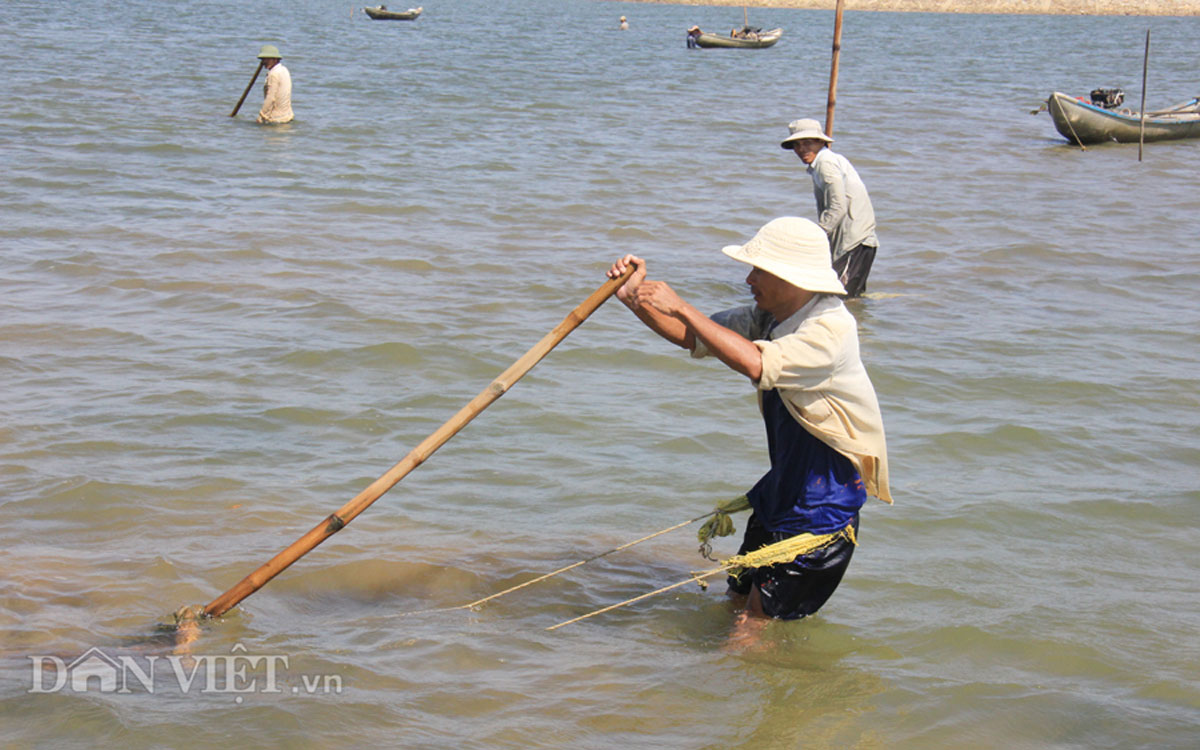 10 tiếng dầm mình cào don kiếm nửa triệu - 4