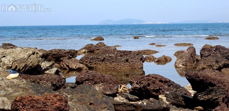 Đẹp hoang sơ ghềnh đá biển Rạng trên đất Quảng - 8
