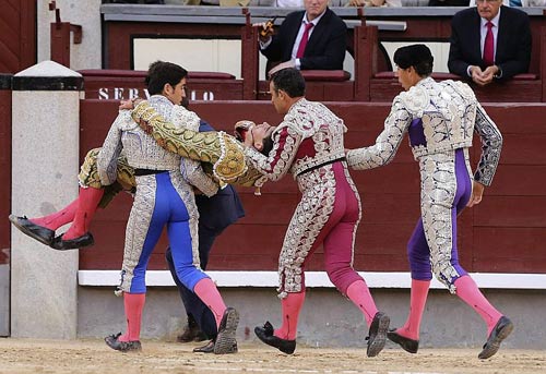 Hãi hùng: Đấu sĩ bị bò tót húc trúng - 2