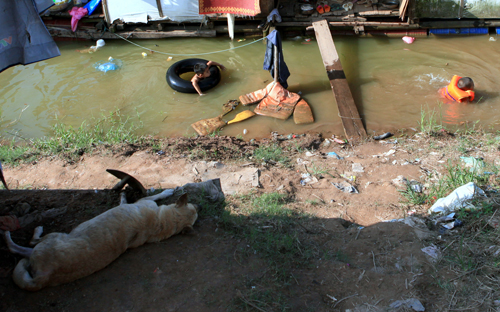 Ảnh: Trẻ ngoại thành hồn nhiên bơi sông, tắm giếng - 2
