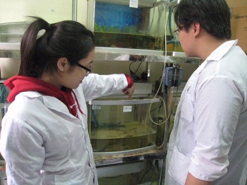 9x sáng chế khoa học vì nông dân - 2