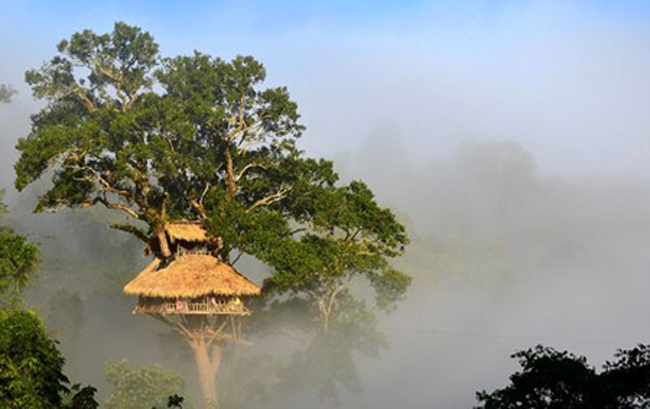 3. Khu bảo tồn tự nhiên Bokeo,&nbsp; Lào:&nbsp;Khu bảo tồn thiên nhiên Bokeo tọa lạc tại tỉnh Bokeo, Lào được thành lập với mục đích bảo tồn loài vượn má đen. Du khách có thể tham gia chuyến hành trình Gibbon Experience để ngắm vượn cũng như có những trải nghiệm thú vị với khu rừng tươi đẹp này hoặc cùng chuyến hành trình vượt thác nước Waterfall Gibbon Experience với ba tiếng đi bộ dọc theo sông Nam Nga.

Tại đây du khách chắc chắn sẽ có những trải nghiệm thú vị mà không thể có được ở bất cứ đâu như cảnh đẹp hay được ngắm nhìn loài vượn má đen vốn đã bị coi là tuyệt chủng.
