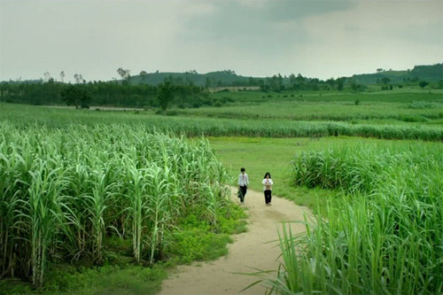 5 phim Việt có cảnh đẹp như thiên đường - 1