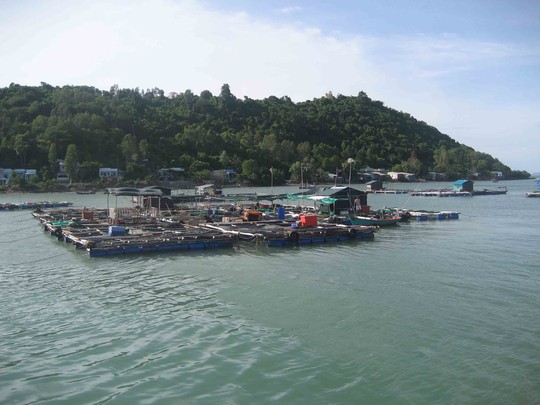 Tuyệt vời vẻ hoang sơ, bí ẩn của đảo Hải Tặc - 8