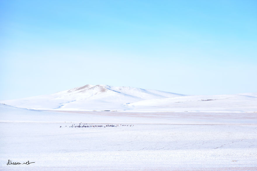 Tại Mông Cổ, mặc dù tuyết rơi không quá dày nhưng nhiệt độ luôn duy trì ở mức dưới 0 độ trong vài tháng vẫn khiến cho băng tuyết bao phủ đến tận mùa hè năm sau