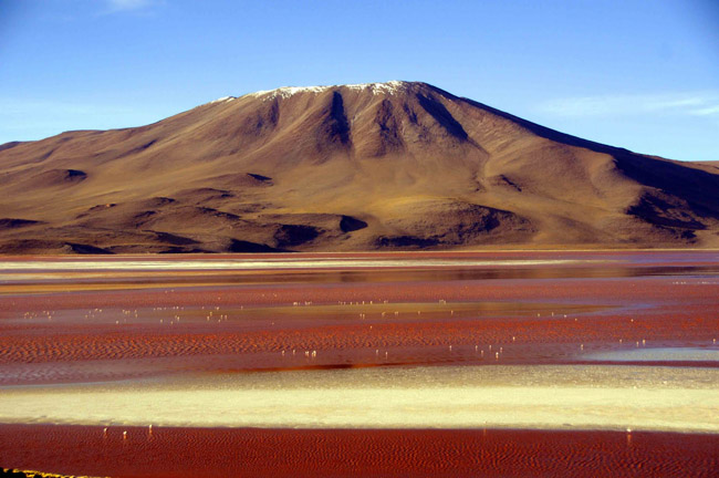 Hồ Laguna Colorada, Bolivia được mệnh danh là “Hồ đỏ” với màu nước đỏ như máu.