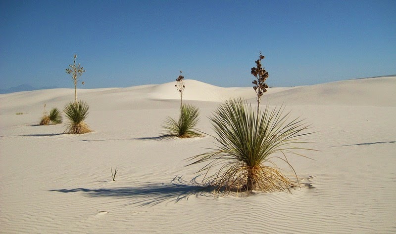 Ngắm vẻ đẹp của sa mạc trắng đặc biệt nhất Mỹ - 2