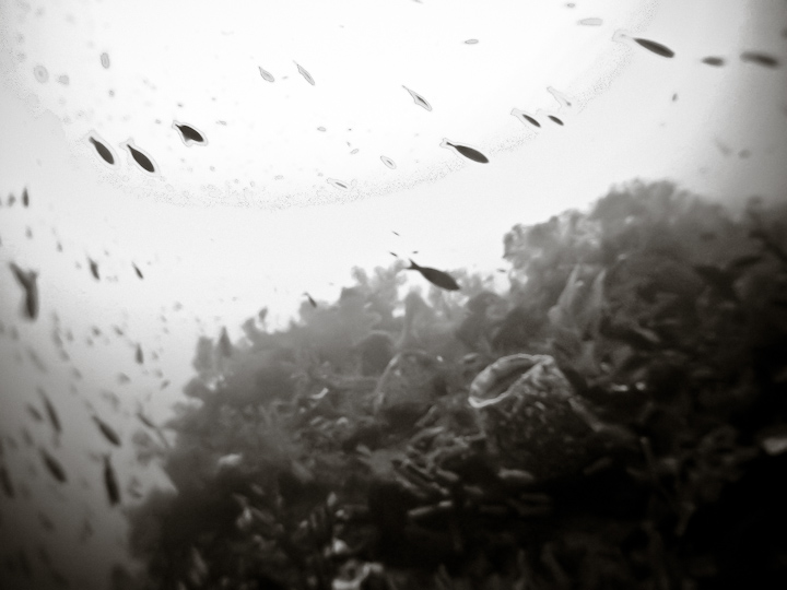 Tò mò trước những hiện tượng thiên nhiên bí ẩn - 7