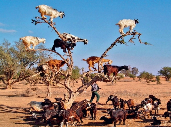 Tò mò trước những hiện tượng thiên nhiên bí ẩn - 9