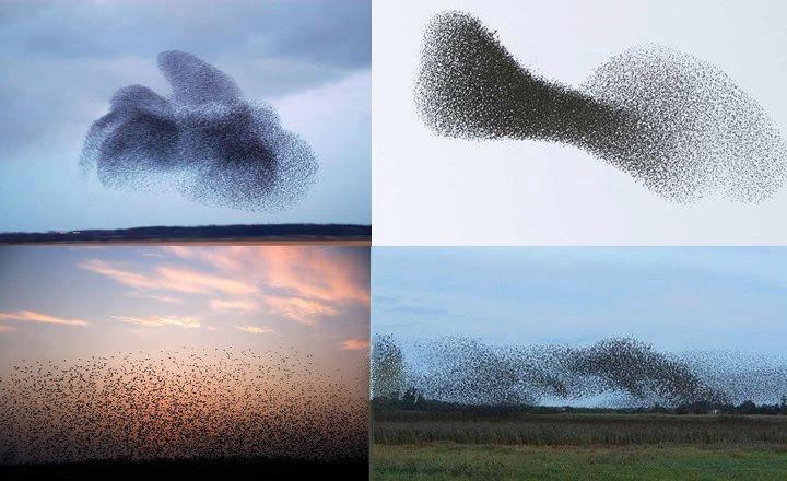 Tò mò trước những hiện tượng thiên nhiên bí ẩn - 2