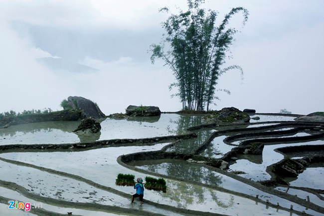 Phong cảnh nơi đây trở nên thi vị khi mặt cánh đồng loang loáng nước thành từng khoảng đan vào nhau.
