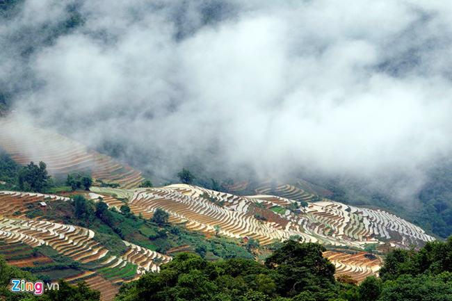 Độ cao ở Y Tý là 2000 m so với mực nước biển. Đi lại ở khu vực này bạn sẽ cảm thấy các ruộng bậc thang như song hành cùng trời xanh.
