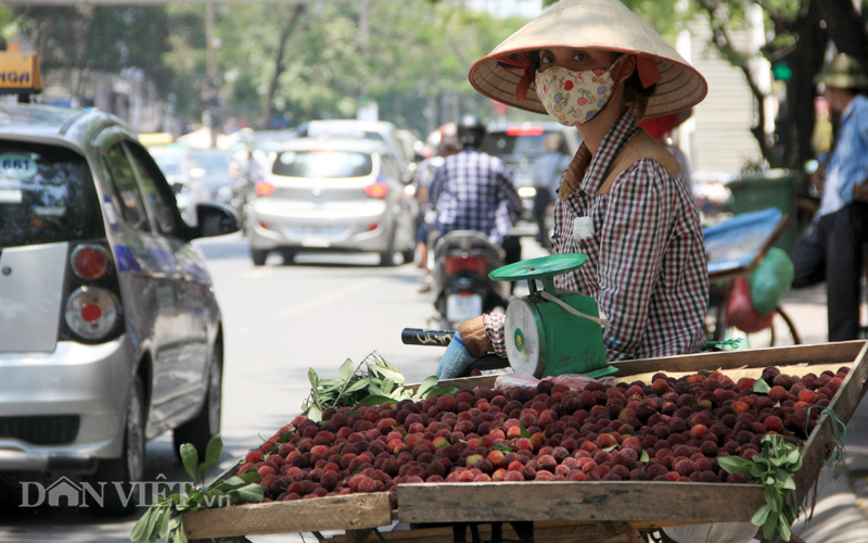Thanh mai Trung Quốc “mê hoặc” dân Hà thành - 3