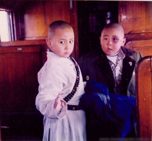 Sự nghiệp "vụt tắt" của 5 sao nhí phim võ thuật TQ - 7