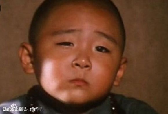 Sự nghiệp "vụt tắt" của 5 sao nhí phim võ thuật TQ - 15