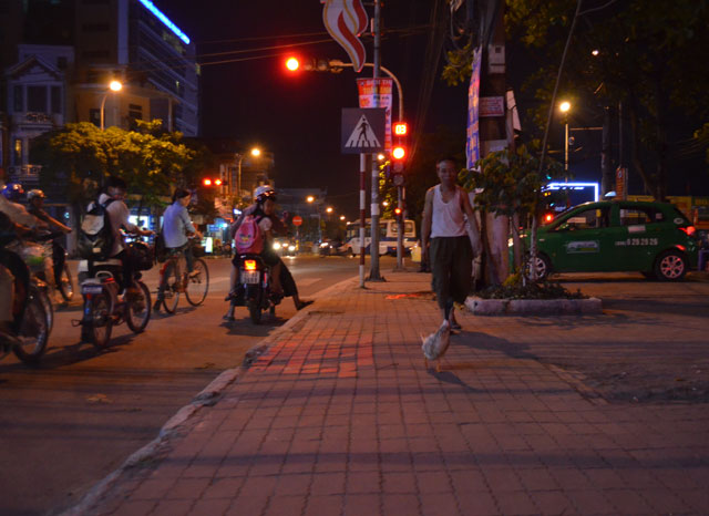 Video: Vịt tung tăng dạo phố ở Thái Bình - 1