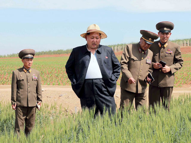 Kim Jong-un phanh áo đi kiểm tra nông trại - 1