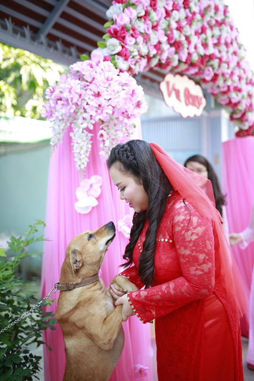 Chú chó khóc ướt mắt khi cô chủ “theo chồng về dinh” - 2