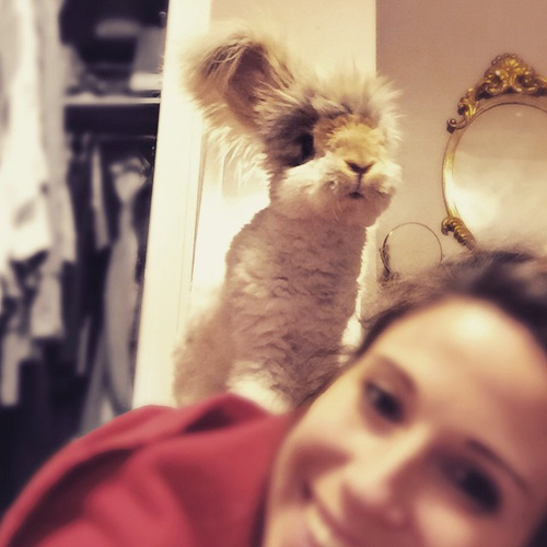 Chú thỏ có đôi tai thiên thần "nổi như cồn" trên mạng xã hội - 8