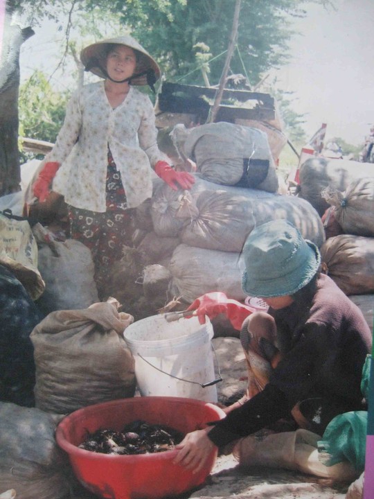 Đỏ mắt tìm mua cua đồng - 1