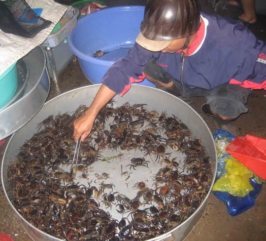 Đỏ mắt tìm mua cua đồng - 2