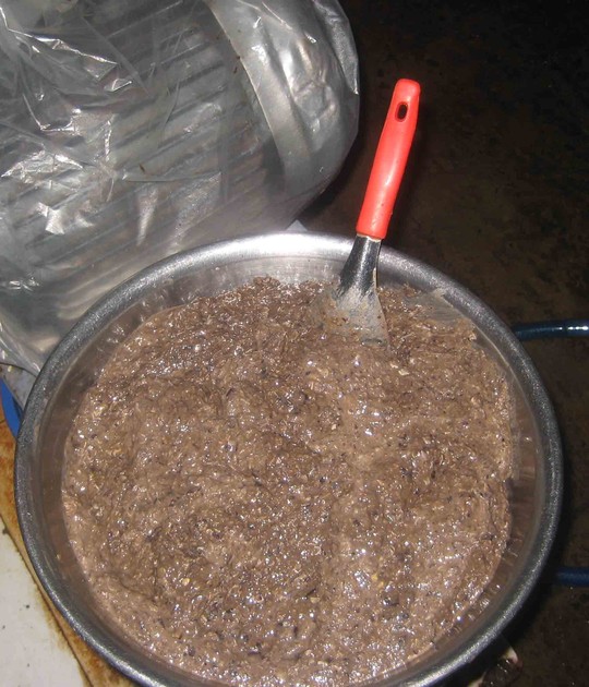 Đỏ mắt tìm mua cua đồng - 4