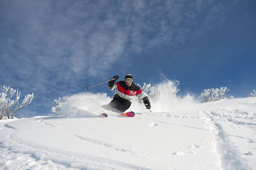 Du lịch Âu, Úc, Mỹ: Thiệt thòi khi đăng ký trễ - 4