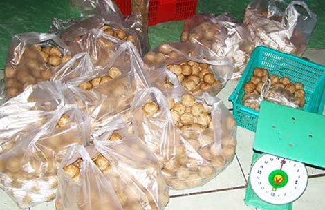 Bò viên làm từ... thịt thối - 4