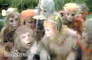 Bất ngờ gặp lại dàn sao nhí “Tây Du Ký” 1986 - 5